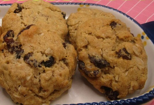 Gluten Free Cinnamon Raisin Cookies, Iced Oatmeal, Dairy Free, Sulfite Free, Vegan, Egg Free, Healthy Snacks, Birthday Gift, low sugar treat