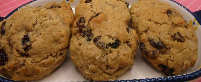 Gluten Free Cinnamon Raisin Cookies, Iced Oatmeal, Dairy Free, Sulfite Free, Vegan, Egg Free, Healthy Snacks, Birthday Gift, low sugar treat