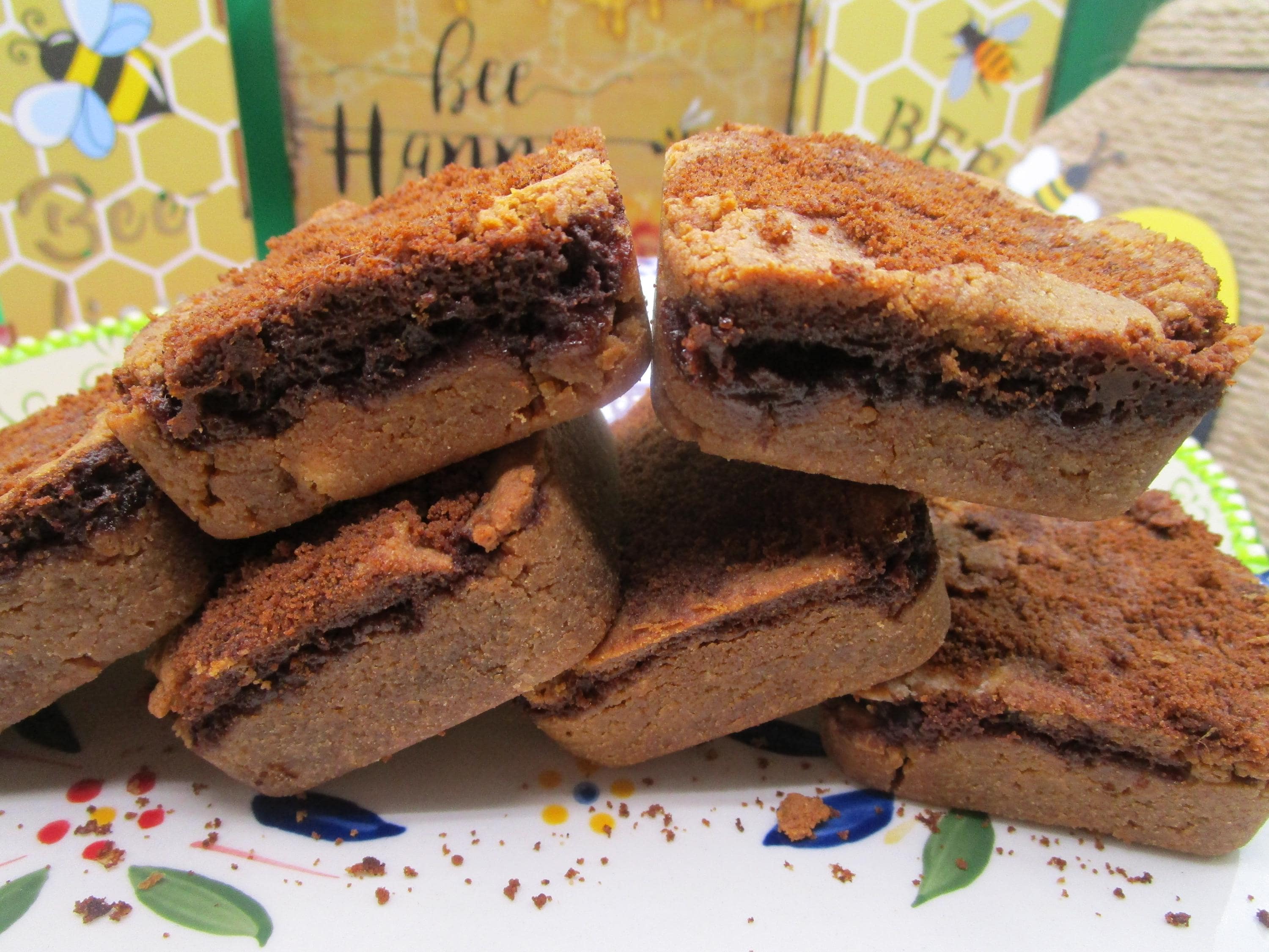 AIP Paleo Cinnamon Squares, Pastry, Grain Free, Vegan, Dairy Free, Low FODMAP, Healthy Snacks, Low Sugar, Autoimmune Protocol, Wellness Gift