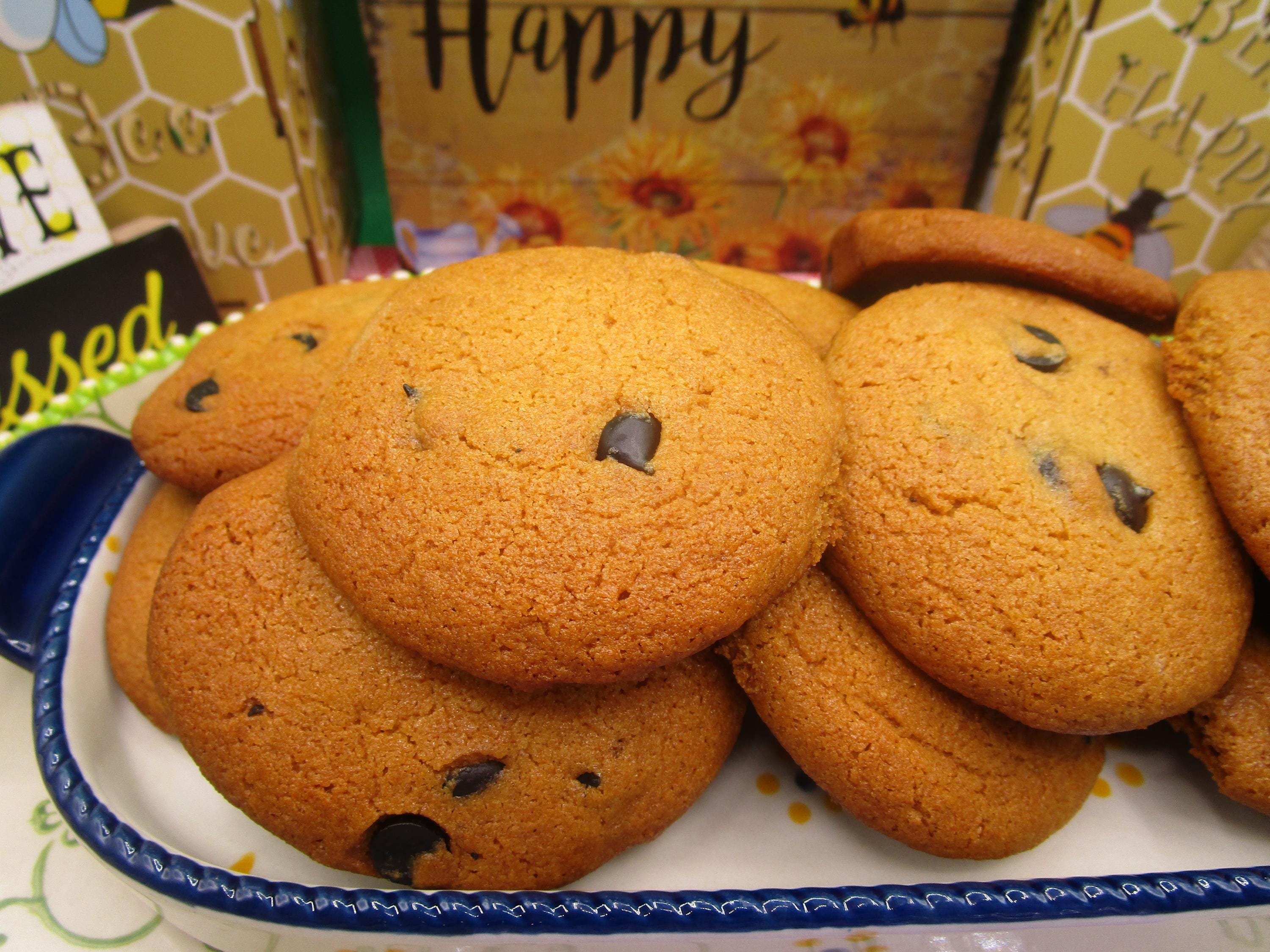 Gluten Free Cashew Cookies, Chewy Chocolate Chip, Dairy Free Vegan desserts, Peanut Free, Carob Chip, Food Fitness Gifts, low Sugar snacks