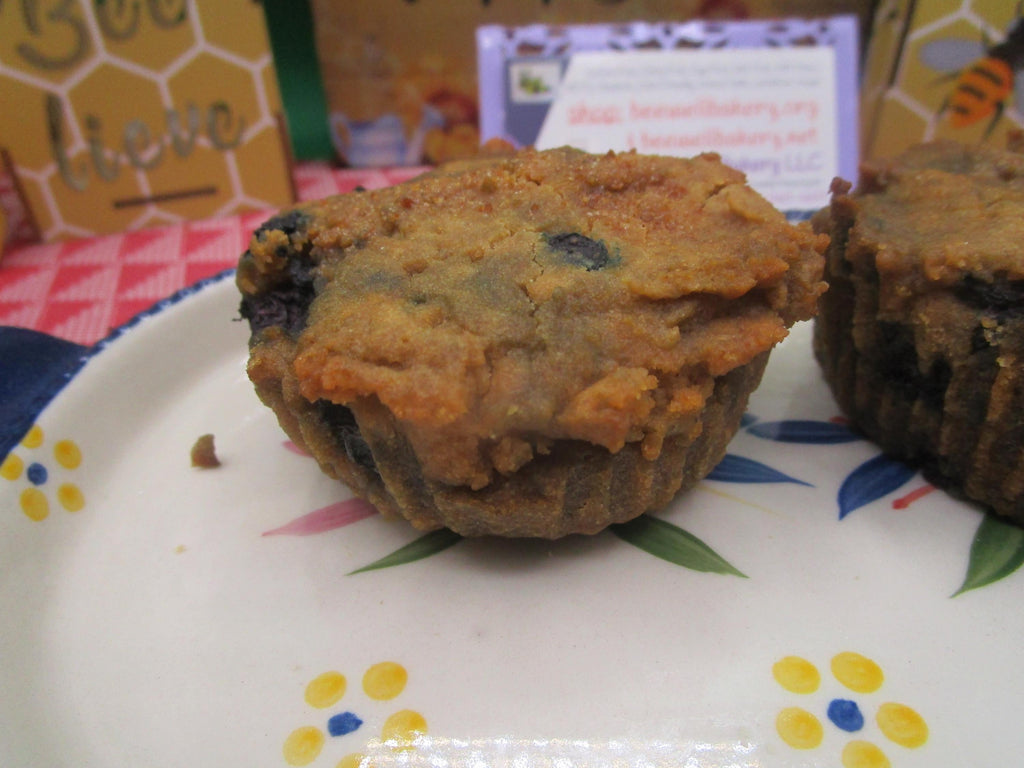 AIP Paleo Mini Muffins, Grain Free, Gluten Free, Dairy Free, Egg Free, Vegan, Berry, Nut Free, Autoimmune Protocol, Low Sugar, Low Fat snack