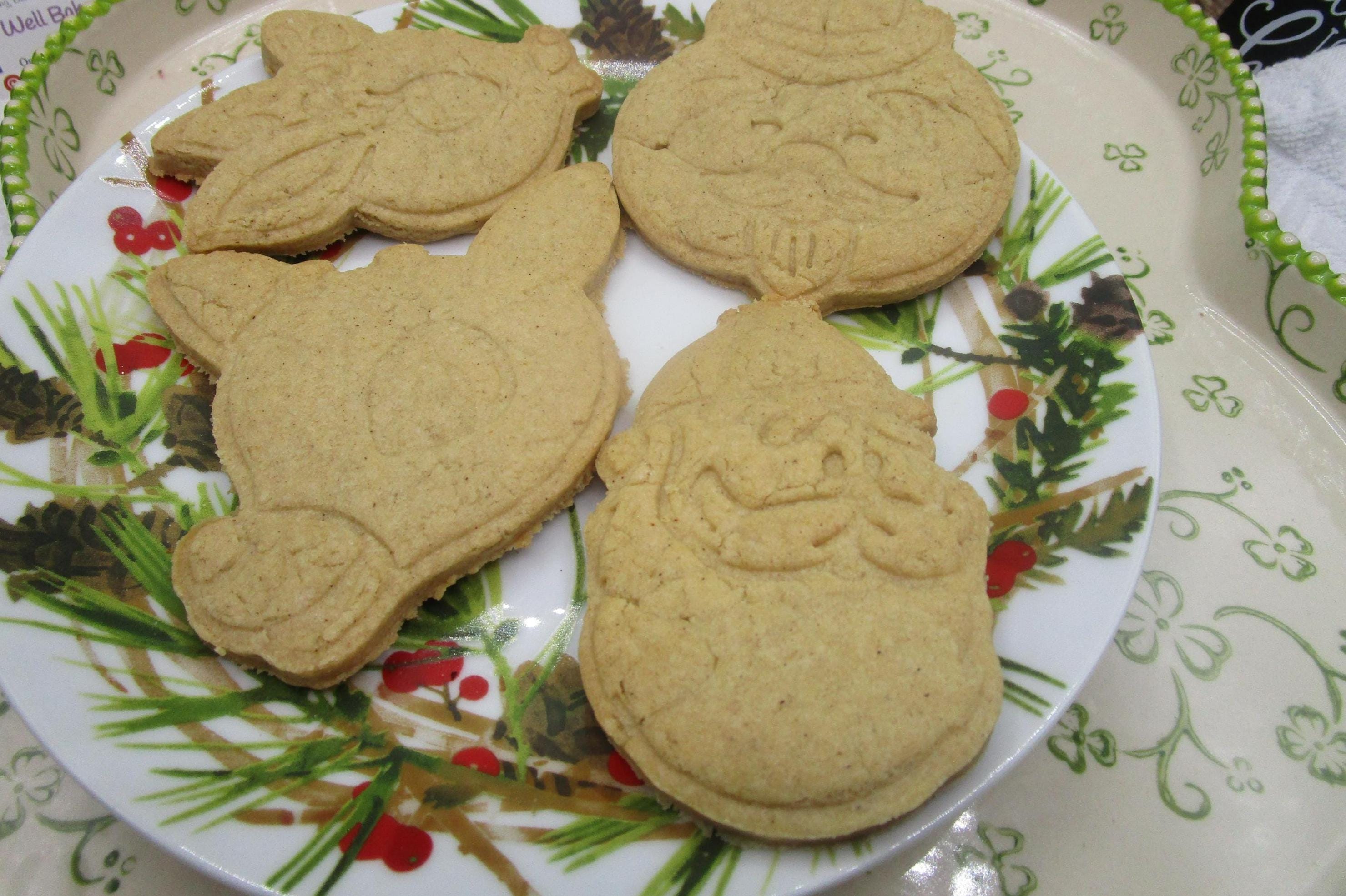 Glute Free Cookie decorating Kits, Red Nose, Reindeer, Dairy Free, Vegan, Egg Free, Nut Free, Holiday Movie, Miss Fit Toys, Christmas Gifts