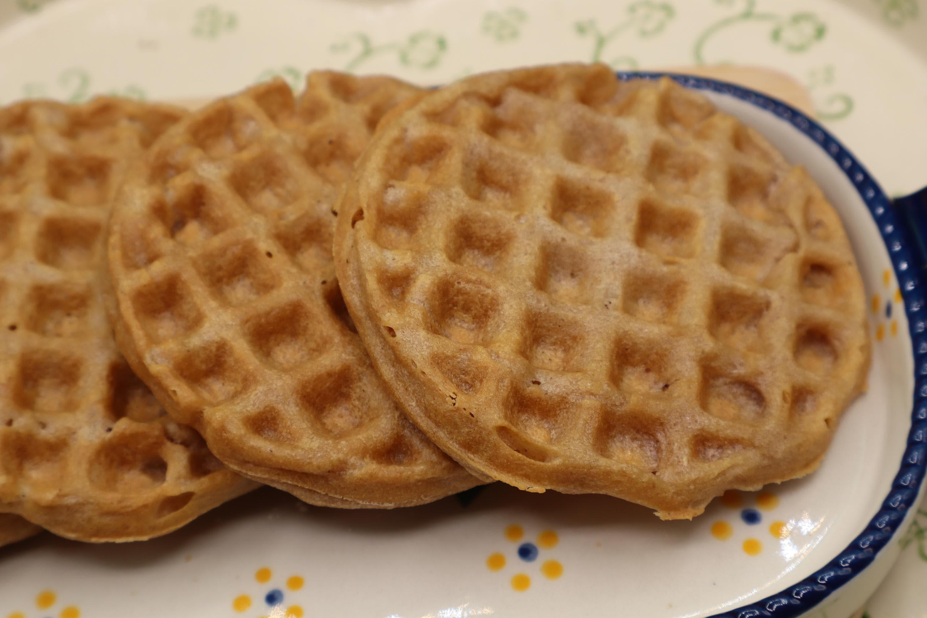 Grain Free Blueberry Waffles, AIP Paleo, Gluten Free, Grain Free, Vegan, Egg Free, Dairy Free, No added Sugar, Autoimmune Protocol Breakfast