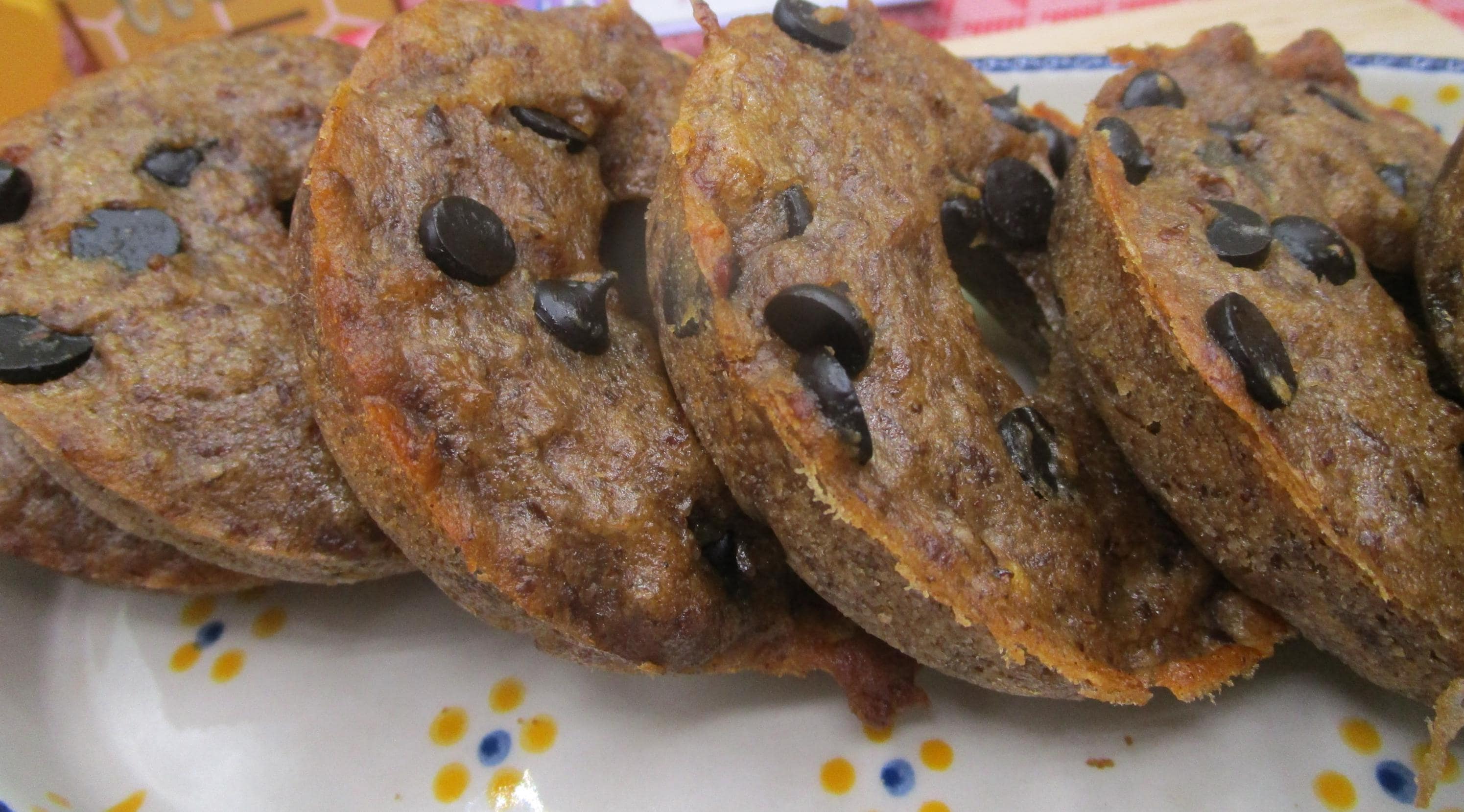 AIP Paleo Banana Donuts, Gluten/Dairy/Nut/Grain Free Wellness Gift, Autoimmune Protocol Breakfast, Low FODMAP, Carob Chips, July 4th Dessert