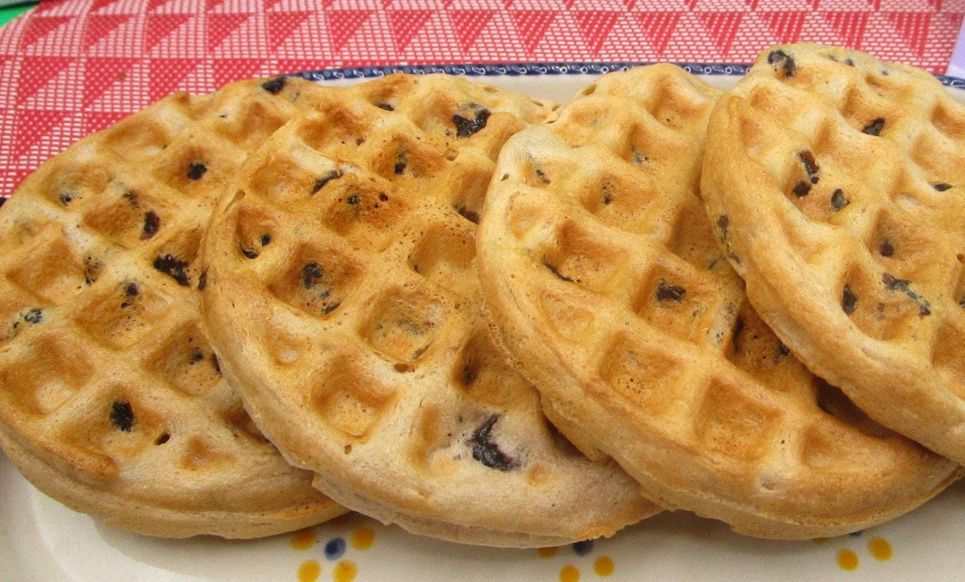 Grain Free Blueberry Waffles, AIP Paleo, Gluten Free, Grain Free, Vegan, Egg Free, Dairy Free, No added Sugar, Autoimmune Protocol Breakfast