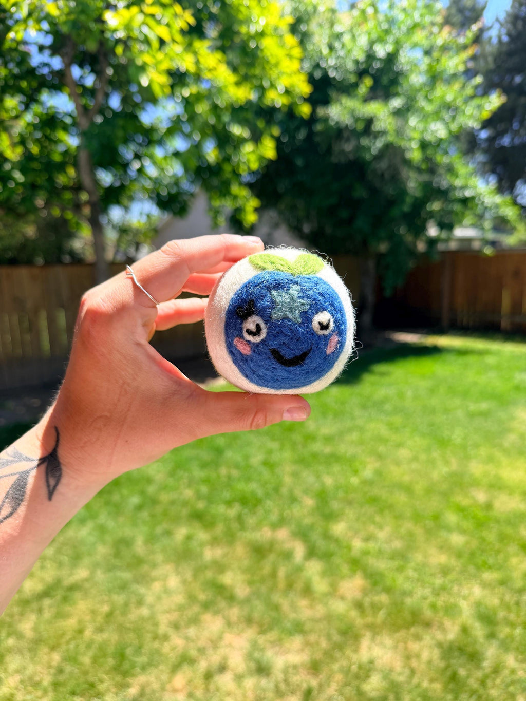 Organic Wool Dryer Balls--Blueberry Buddy