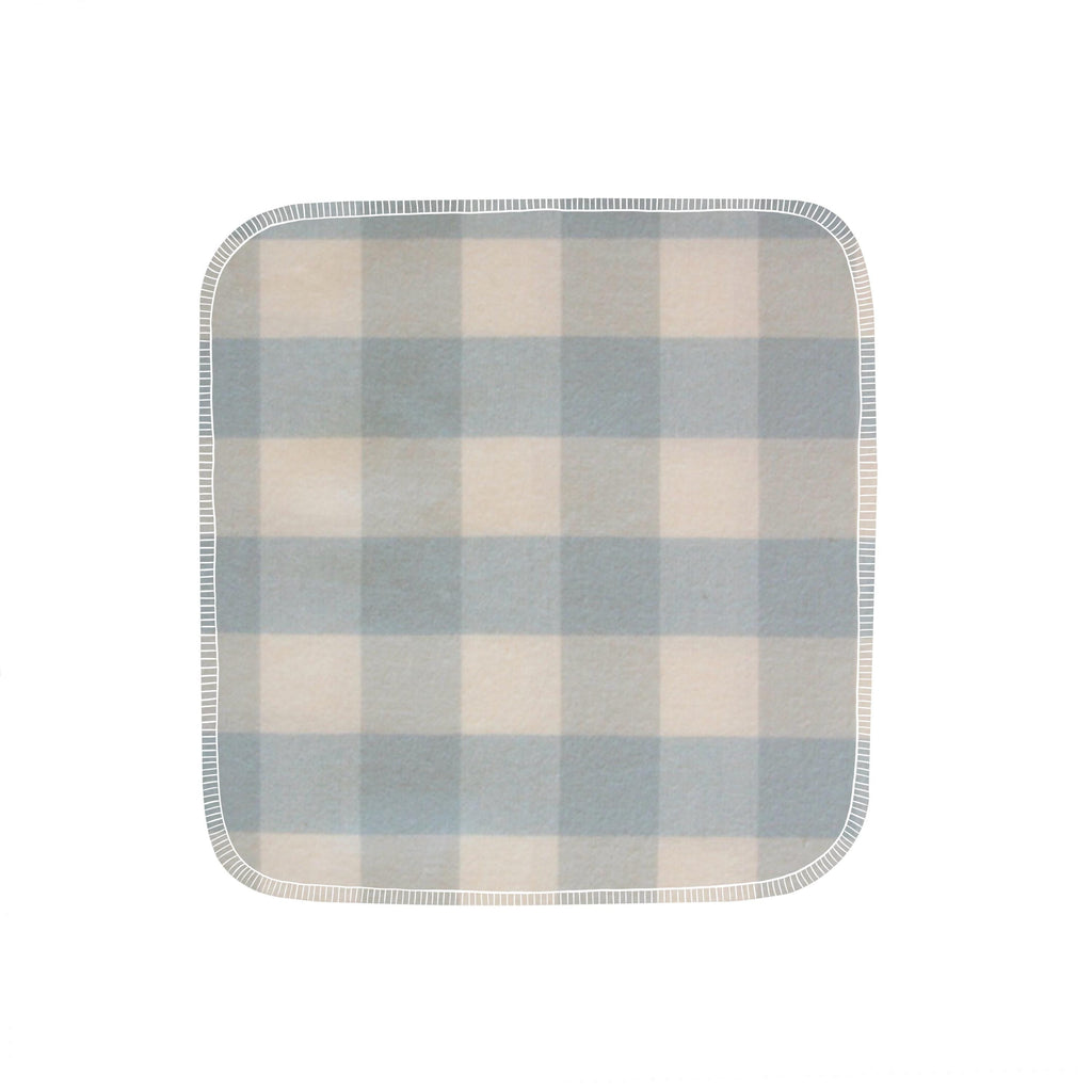 Reusable Paper Towels--Blue Buffalo Check