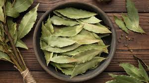 Bay Leaves Ritual Herb for Spells, Manifestation, Protection, Prosperity, Cleansing & Witchcraft – Moon Water Apothecary