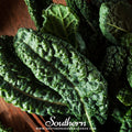 Lacinato "Dinosaur" Kale – 250 Seeds