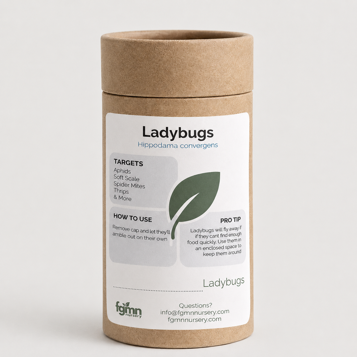 Ladybugs
