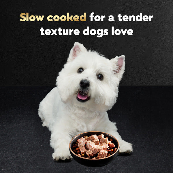 Cesar Loaf in Sauce Adult Wet Dog Food Filet Mignon Flavor, 3.5 oz. Tray
