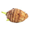 Taro Root️