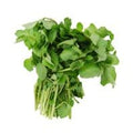 Watercress️