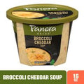 Panera Bread Broccoli Cheddar Soup Cup️