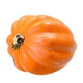 Organic Acorn Squash️
