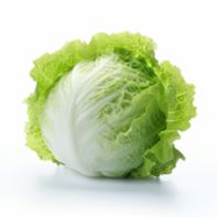 Iceberg Lettuce️