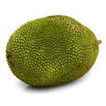 **Fresh Jackfruit Whole Fruit – Rare Tropical Fruit with Sweet, Juicy Golden Pods | Tree of Life Grocers**