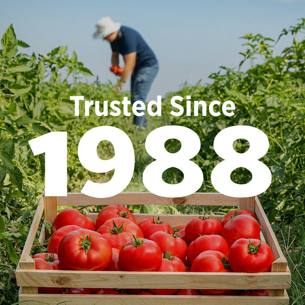 Hunt's Diced Tomatoes