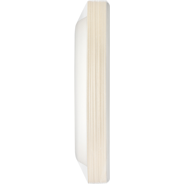 Hefty Compostable Plates