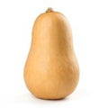 Butternut Squash️