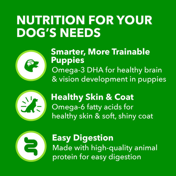 IAMS Proactive Health Puppy Wet Dog Food Classic Ground with Chicken and Rice