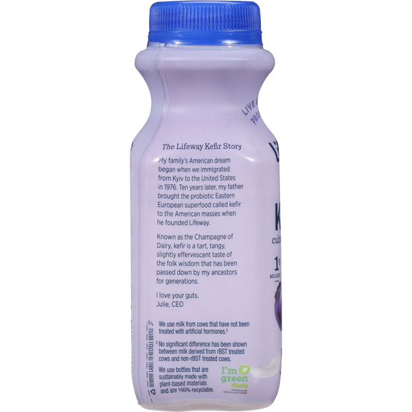 Lifeway Kefir, Blueberry