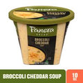 Panera Bread Broccoli Cheddar Soup Cup️