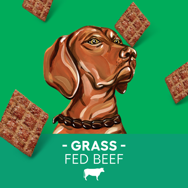 Newman's Own Original Beef Recipe Jerky Treats Treats for Dogs