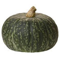 Organic Kabocha Squash️