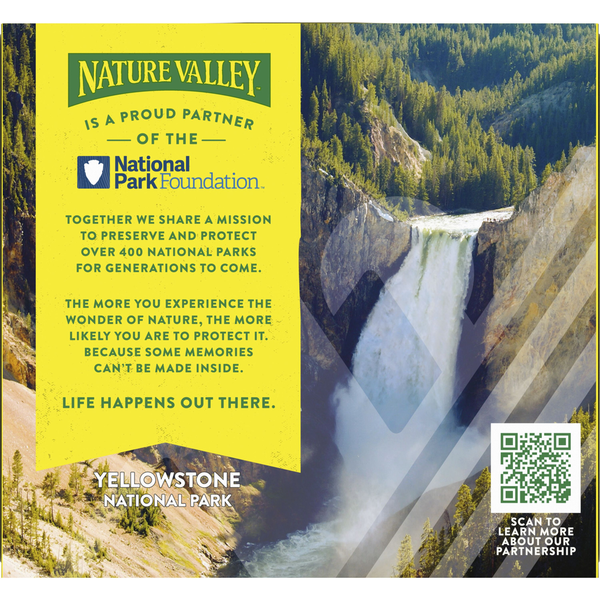Nature Valley Blueberry Nut Chewy Protein Granola Bars