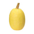 Organic Spaghetti Squash️