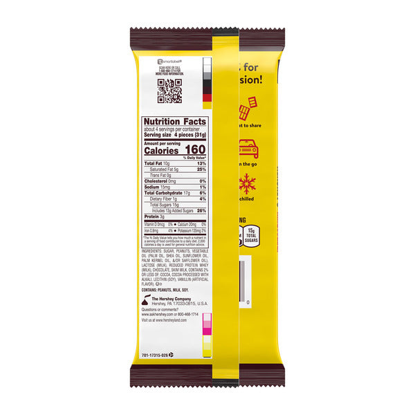 Hershey's MR. GOODBAR Chocolate with Peanuts XL, Candy Bar, 4.4 oz (16 Pieces)