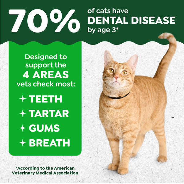 GREENIES Feline Adult Natural Dental Care Cat Treats, Oven Roasted Chicken Flavor