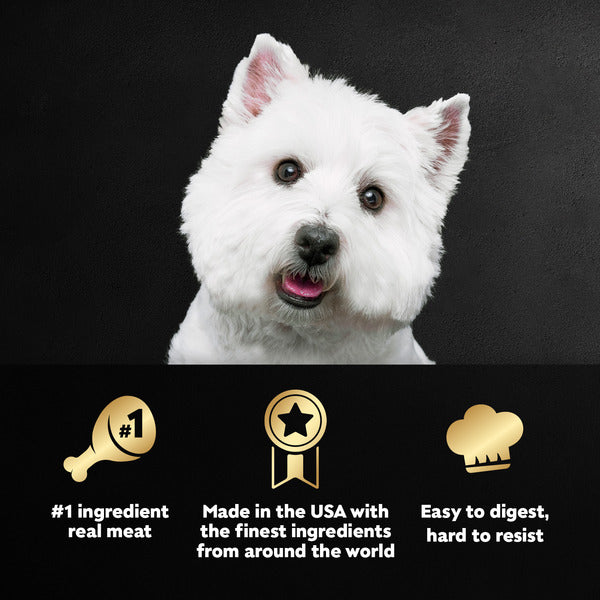 Cesar Loaf in Sauce Adult Wet Dog Food Filet Mignon Flavor, 3.5 oz. Tray