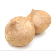 Jicama️