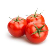 Hydroponic Tomato️