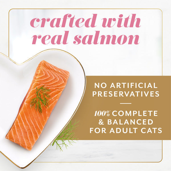 Fancy Feast Gems Pate Cat Food Mousse With Salmon and a Halo of Savory Gravy Cat Food