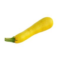 Organic Yellow Squash️