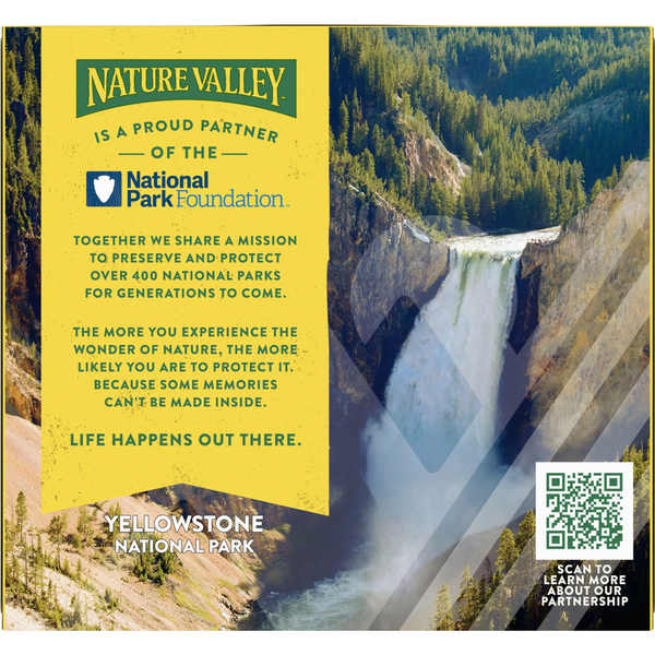 Nature Valley Protein Peanut Butter Dark Chocolate Chewy Snack Bars