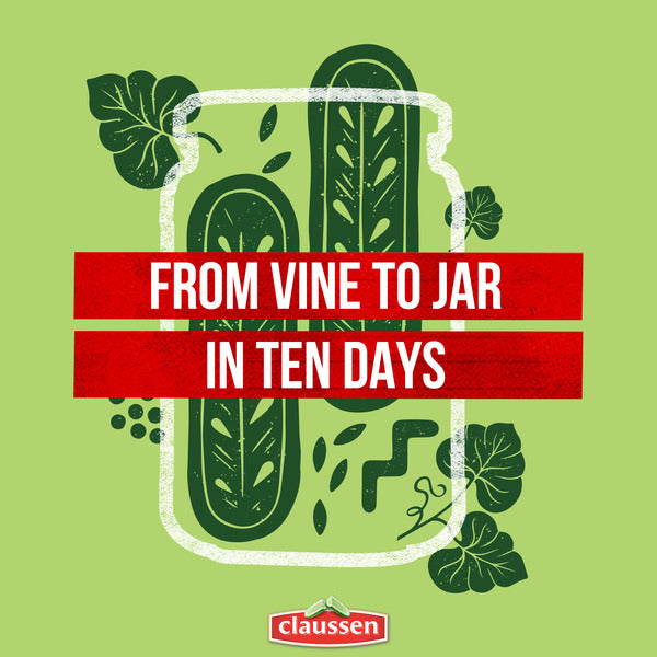 Claussen Kosher Dill Pickle Halves