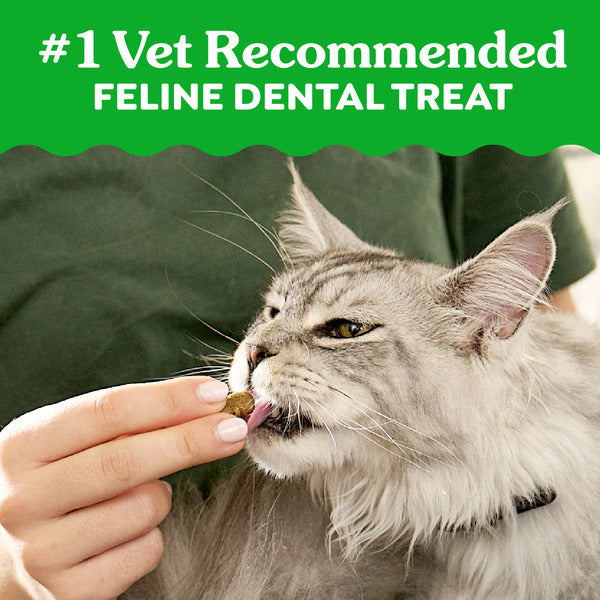 GREENIES Feline Dental Cat Treats, Catnip Flavor Tub