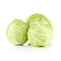 Organic Green Cabbage️