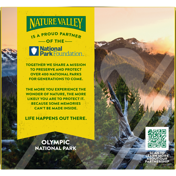 Nature Valley Roasted Mixed Nut Sweet and Salty Nut Chewy Granola Bars