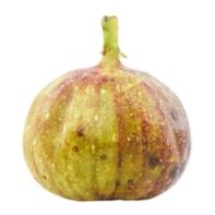 Fresh Energy Mission Fig️