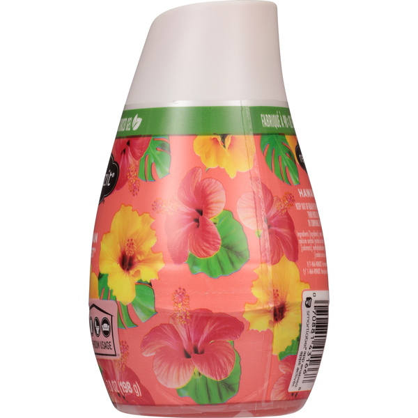 Renuzit Hawaiian Sunset Gel Air Freshener