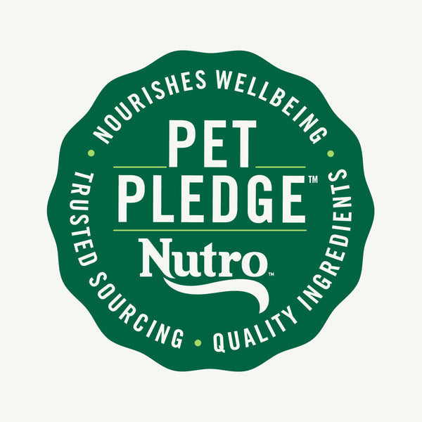 NUTRO Wholesome Essentials Indoor Dry Cat Food, Chicken & Brown Rice Recipe, 5 lbs.
