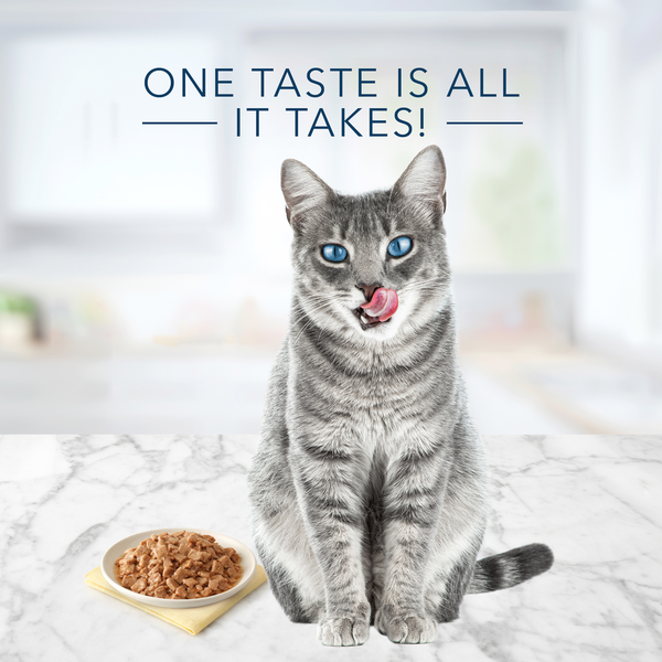 Blue Buffalo Tastefuls Flaked Wet Cat Food, Tuna, Chicken and Fish & Shrimp Variety Pack