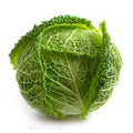 Green Savoy Cabbage️
