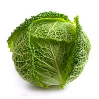 Green Savoy Cabbage️
