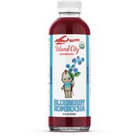 Island City Kombucha Organic Blueberry Kombucha️